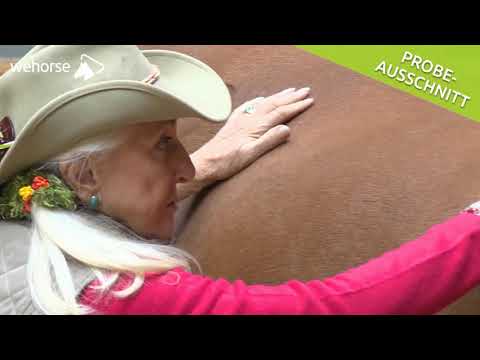 Tellington-TTouch-Training für Pferde: Aufgerollte-Python-TTouch | Linda Tellington-Jones