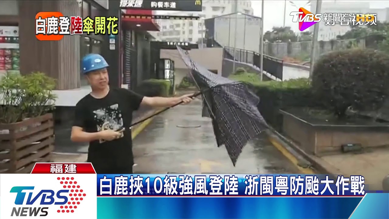 迷人!白鹿襲陸前 廣東多地出現絕美晚霞
