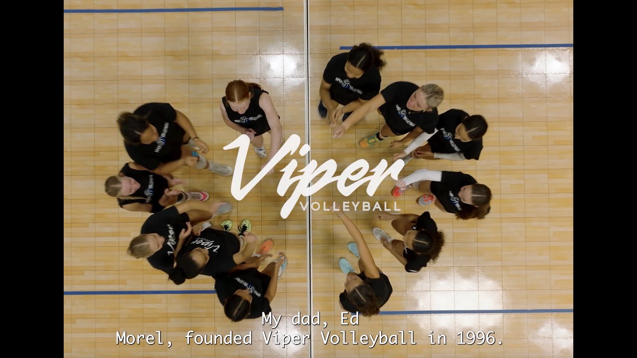 Viper Volleyball