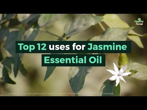 Top 12 uses for Jasmine Essential Oil
