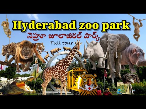 Hyderabad Nehru zoo park | full tour details | jungle safari | Nehru zoological park | 1 day trip |