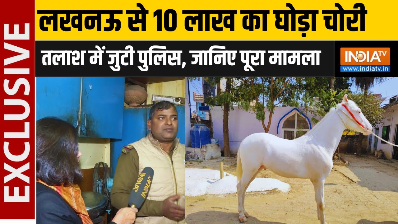 घोड़ा चोरी होने से लखनऊ में हड़कंप, तलाश में जुटी Police...ज