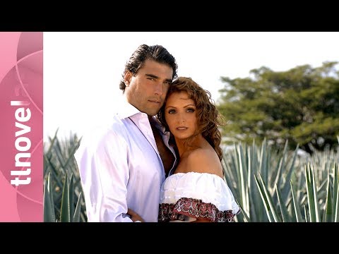 Destilando Amor trailer frame focusing on rural Jalisco scenery underscored by ranchera music