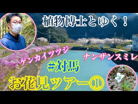 国際社会学科 【対馬の春】植物博士と行くお花見ツアー第１弾🌷日本で対馬にしかない可愛い植物も💗