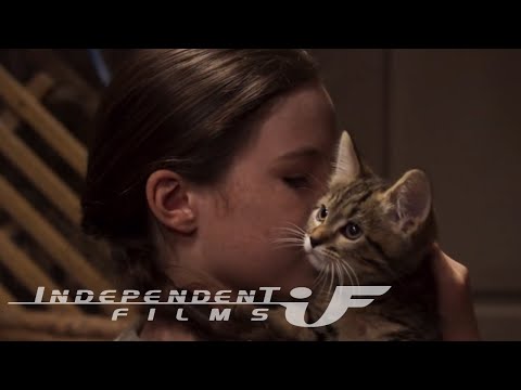 trailer image