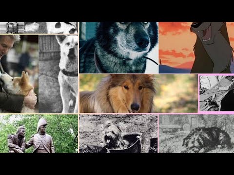 I Leggendari Cani della Storia: Da Balto a Strongheart