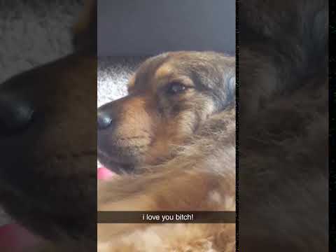 ♕ She Is A Goddess -- Wicket ♕