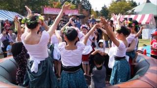 preview picture of video '三次わいん秋まつり、ぶどう圧搾ダンス Grape compression dance in Miyoshi Japan'