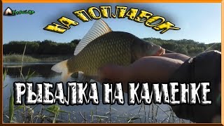Отчет о рыбалке на реке каменка