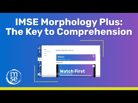 Imse Morphology