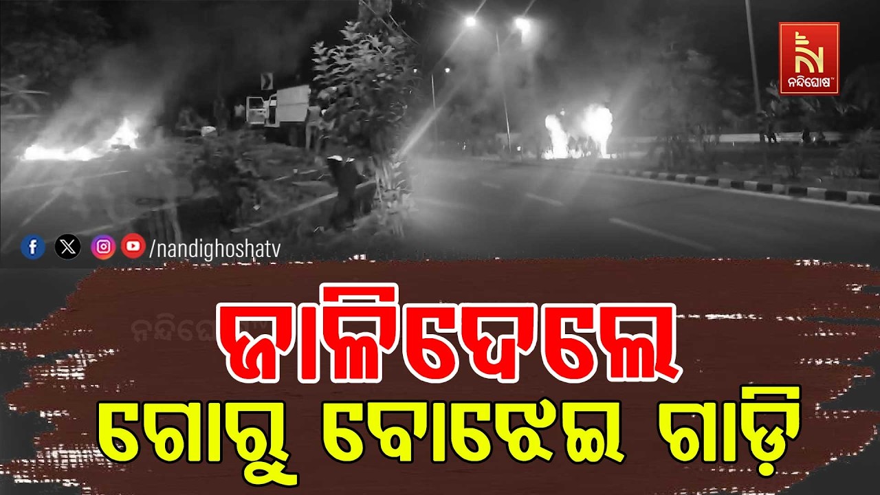 ପିପିଲି ତେଇଶିପୁର ନିକଟରେ ଜାଳିଦେଲେ ଗୋରୁ ଗାଡି ; ରାସ୍ତା ମ?