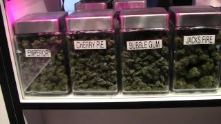 Chelsea Goss: Los Angeles Medical Marijuana Dispensaries