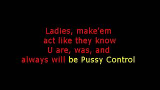 Prince - Pussy Control (Custom Karaoke Video)
