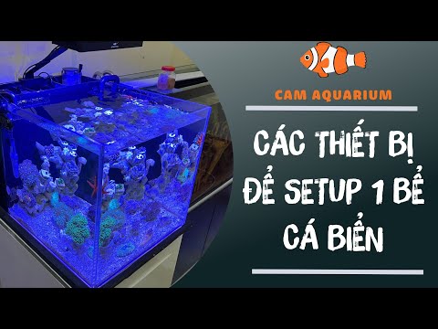 Hướng dẫn chọn thiết bị để setup 1 bể nước mặn cơ bản [Tập 1]