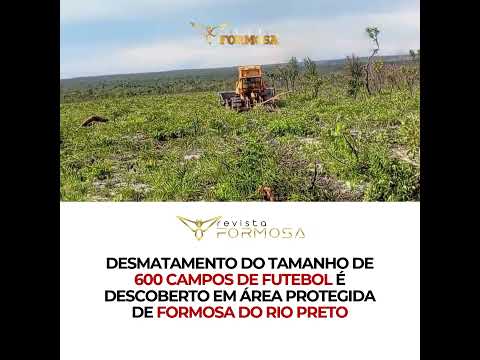 Desmatamento de 600 campos de futebol é descoberto em área protegida de Formosa do Rio Preto