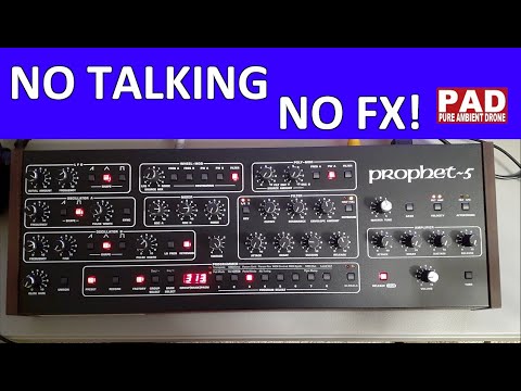 Prophet 5 - Patches and Presets Demo (Sounds Only)