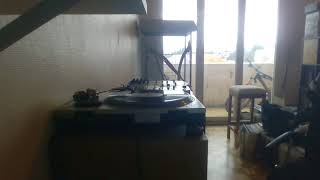 PATRICE RUSHEN -  DON'T BLAME ME  ELEKTRA REC 80