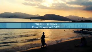 Wild Orchid Beach Resort - Day 1 staycation!