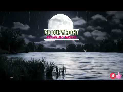 No Copyright | Free Music #shorts #viral #Mulita #lyrics #song #music #relaxing