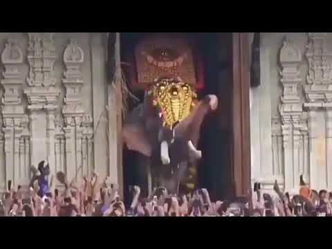 Giant elephant gets worshipped in India