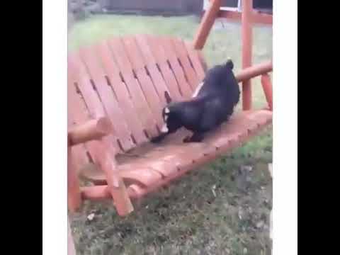 😂😂😂😂😂😂😂