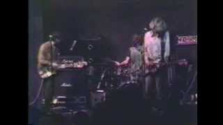 Sonic Youth - The World Looks Red (Live)