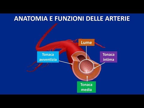 Esercizi per il mal di schiena YouTube Patch dal mal di schiena Foto
