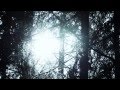 BORKNAGAR - The Earthling 