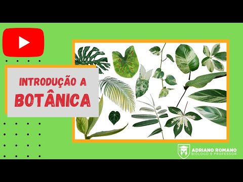 Introdução a botânica - Principais conceitos e termos