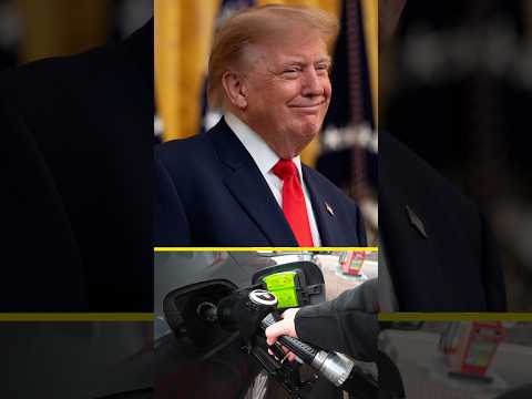 Trump agradece a Putin el acuerdo sobre el diésel