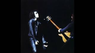 Lou Reed - &quot;Sister Ray&quot; w/ Hunter &amp; Wagner (RnR Animal tour, 1973)