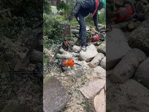 Stihl ms462 VS Husqvarna 592xp.