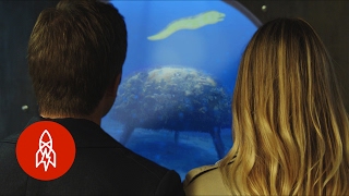 The Depth Below the Depths: The Aquatic World with Philippe Cousteau