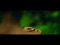 Manikka Chirakulla Cover Song