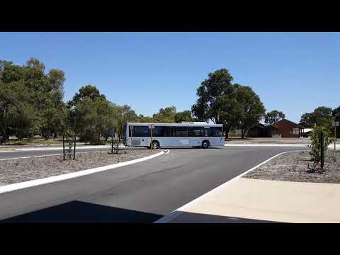 Ex-Transperth TP1302 Departs Whiteman Park Lord Street Entry