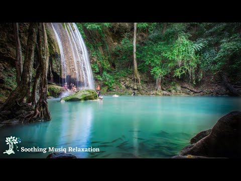 🔴  Relaxing Music | Healing Music | Meditation Music, Spa Music, Sleep, Zen, Study Music, Yoga Music