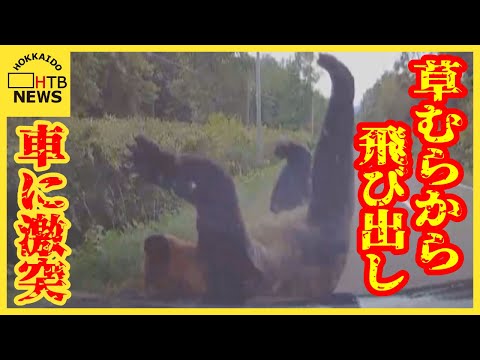 【動画】熊さん、交通事故に遭って想像の5倍吹っ飛ばされるｗｗｗｗｗｗｗｗｗｗｗｗ
