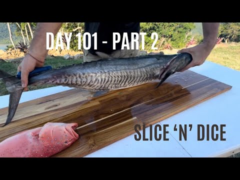 ANGST - Day 101 - Part 2 Finally Fish