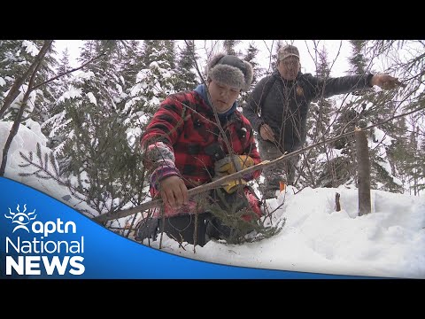 Cree community of Mistissini teaching traditional skills to protect their culture | APTN News