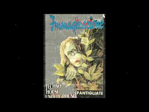 IMMAGINAZIONE "Pantigliate" Techno (1991)