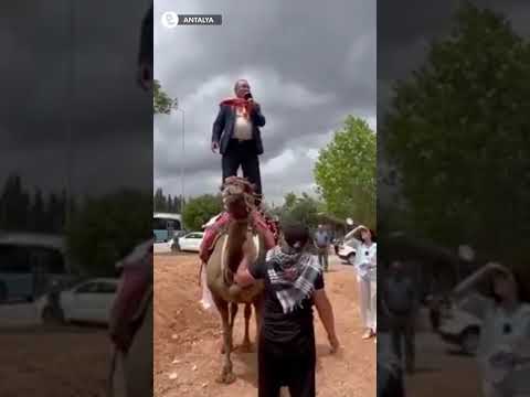 Antalya’da eski belediye başkanı deveden düştü