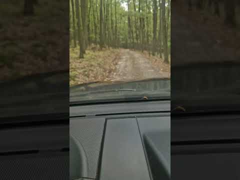 Chalupa pod Sixovkou - Krupina 4