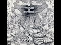 Bloody Tears Triumph Of Darkness 2004 Full Album