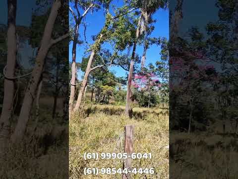 🚨 EXCELENTE FAZENDA À VENDA EM PADRE BERNARDO – GOIÁS 🚨