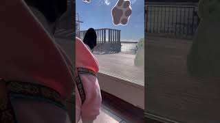 ワンコと海ほたるで休憩 #shorts