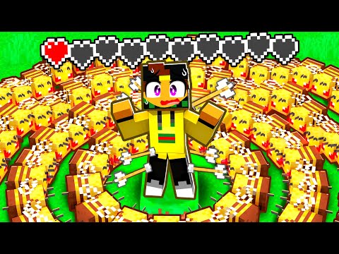 MINECRAFT MA SE MARCY MUORE IL VIDEO FINISCE...