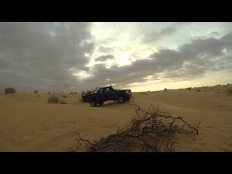 Arriva la cavalleria!