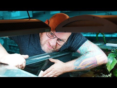 Die Katastrophe im 1000 Liter AFRIKA AQUARIUM