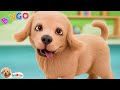 BINGO Nursery Rhymes Kids Songs IshKids Version 2