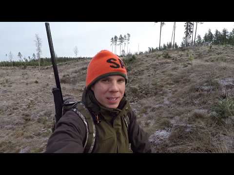 Hunting precision with Sauer 404, prone.